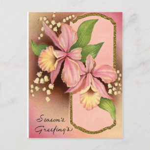 Cartão Postal De Festividades Seasons Greetings Orchids