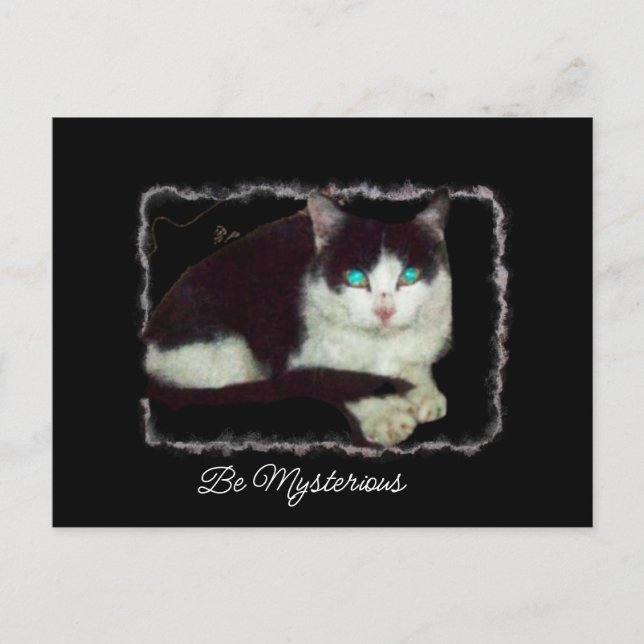 Cartão Postal De Festividades Seja misteriosa sabedoria de gatos (Frente)