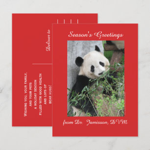 Cartão Postal De Festividades Sessões de Vet, Veterinária, Cartão-postal