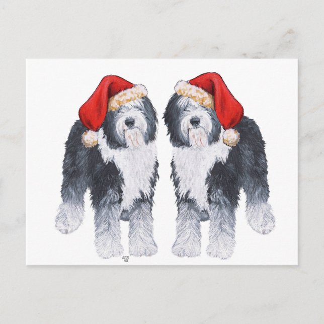 Cartão Postal De Festividades Sheepdog Santa Hat (Frente)