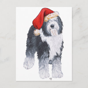 Cartão Postal De Festividades Sheepdog Santa Hat