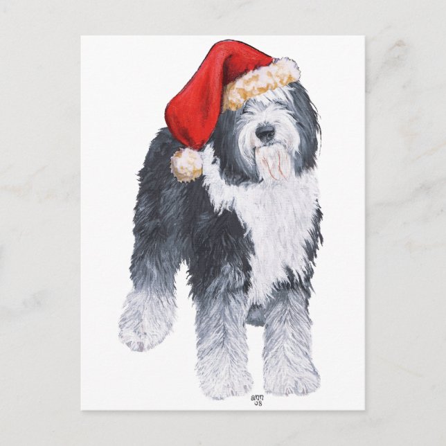 Cartão Postal De Festividades Sheepdog Santa Hat (Frente)