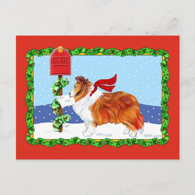 Cartão Postal De Festividades Sheltie Christmas Mail Sable (Frente)