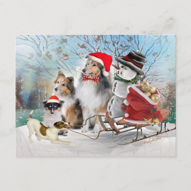 Cartão Postal De Festividades Sheltie, Jack Russell e Snowman Xmas Cards (Frente)