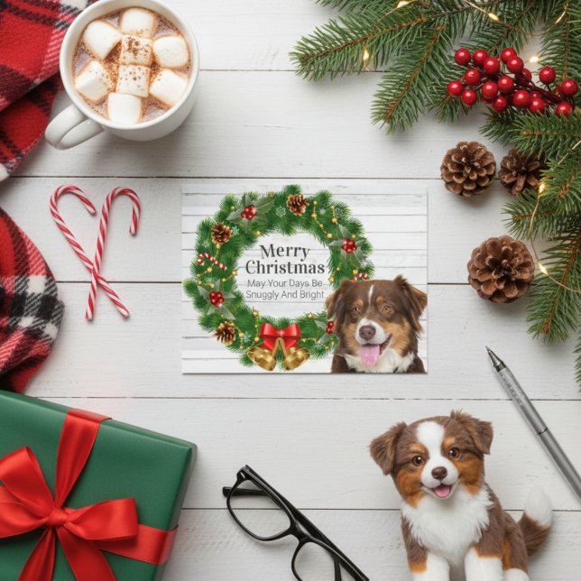 Cartão Postal De Festividades Shepherd Christmas australiano (Australian Shepherd Christmas Pine Cone Wreath Holiday Postcard)