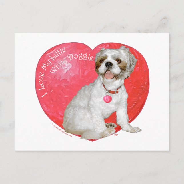 Cartão Postal De Festividades Shih Tzu / Lhasa Apso Valentine's Day (Frente)