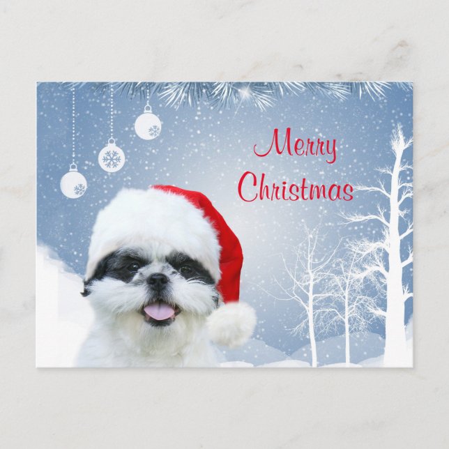 Cartão Postal De Festividades Shih Tzu Natal (Frente)