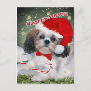 Cartão Postal De Festividades Shih Tzu Papais noeis Presentes de patas