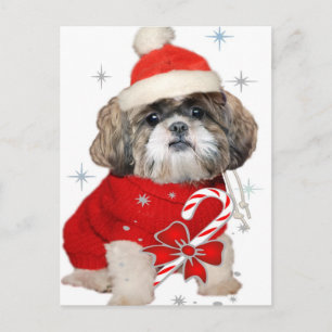 Cartão Postal De Festividades Shih Tzu Papais noeis Presentes de patas