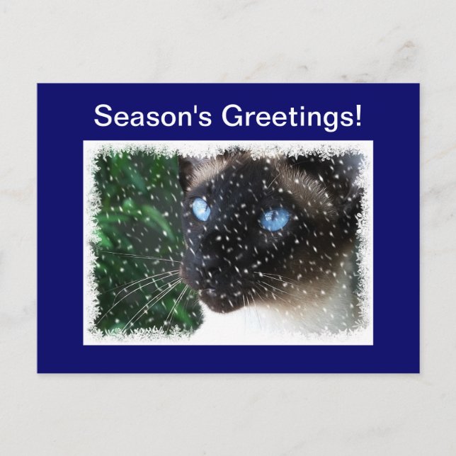 Cartão Postal De Festividades Siamese Cat Winter (Frente)