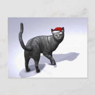 Cartão Postal De Festividades Silver Tabby Santa Claus Hat