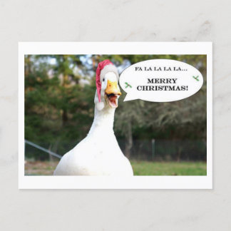 Cartão Postal De Festividades Singing Duck Holiday Card