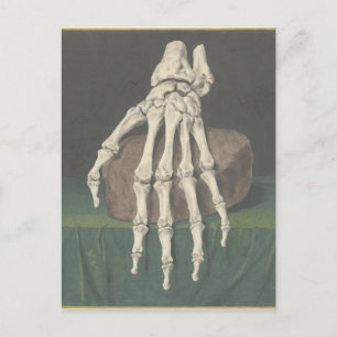 Cartão Postal De Festividades Skelet van een hand por Jan l Admiral