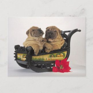 Cartão Postal De Festividades sleepy shar pei dogs in santa's sledge