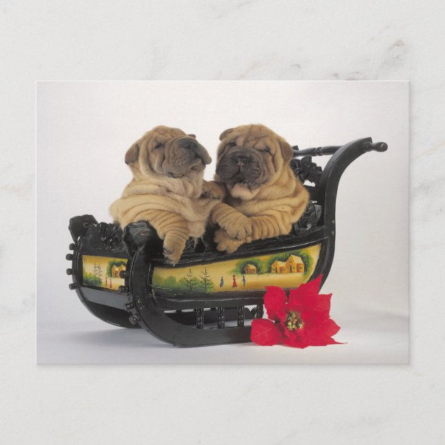 Cartão Postal De Festividades sleepy shar pei dogs in santa's sledge (Frente)
