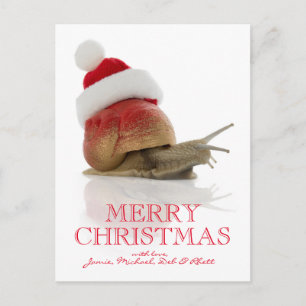 Cartão Postal De Festividades Snail Natal