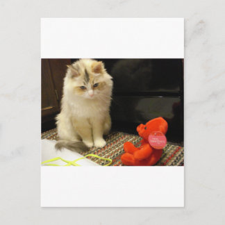 Cartão Postal De Festividades Snuggler meows "Happy Valentines Day!"