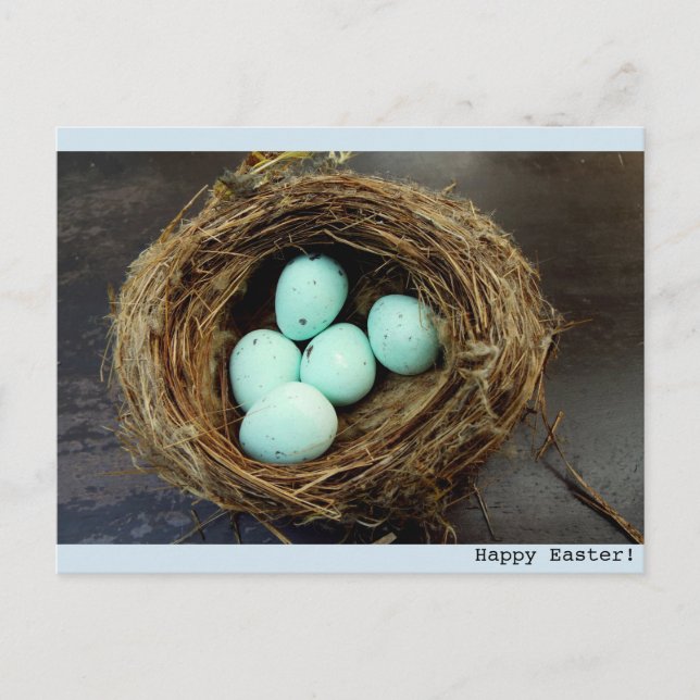 Cartão Postal De Festividades Speckled Easter eggs  real bird's nest photograph (Frente)