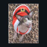 Cartão Postal De Festividades Sphynx Cat Ninja Santa Christmas<br><div class="desc">Sphynx Cat Ninja dressed as Santa for Christmas.</div>