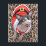 Cartão Postal De Festividades Sphynx Cat Ninja Santa Christmas<br><div class="desc">Sphynx Cat Ninja dressed as Santa for Christmas.</div>
