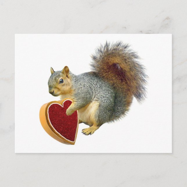 Cartão Postal De Festividades Squirrel Valentine Postcard (Frente)