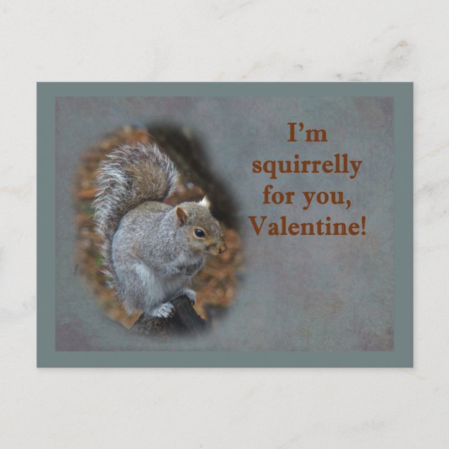 Cartão Postal De Festividades Squirrel Valentine's Day Card (Frente)