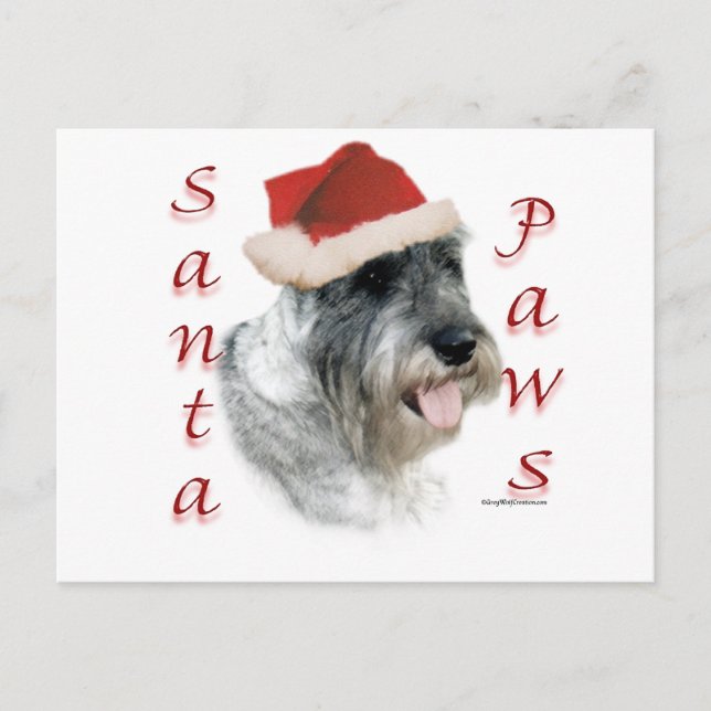 Cartão Postal De Festividades Standard Schnauzer Santa Paws (Frente)