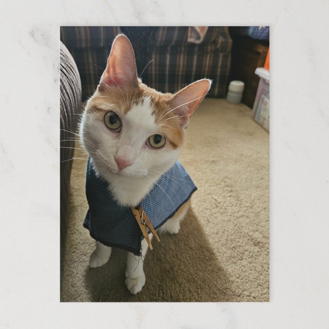 Cartão Postal De Festividades Stop Embarrassing Me! Postcard (Criador carregado)