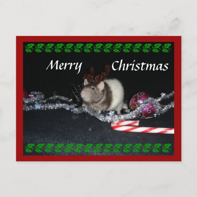 Cartão Postal De Festividades Stormy Christmas (Frente)