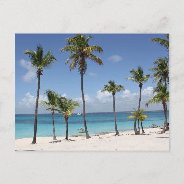 Cartão Postal De Festividades Summer Paradise (Frente)