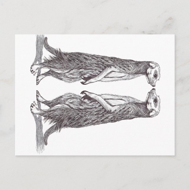 CARTÃO POSTAL DE FESTIVIDADES SURICATA LOVE. MEERKAT LOVE. (Frente)