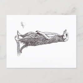 CARTÃO POSTAL DE FESTIVIDADES SURICATA. MEERKAT