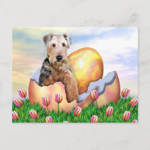 Cartão Postal De Festividades Surpresa da páscoa de Airedale Terrier