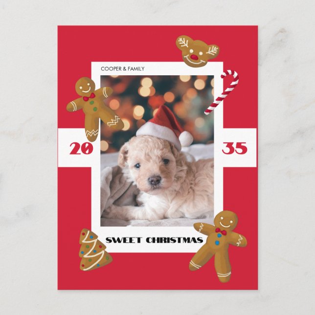 Cartão Postal De Festividades Sweet Christmas custom photo cute pet (Frente)