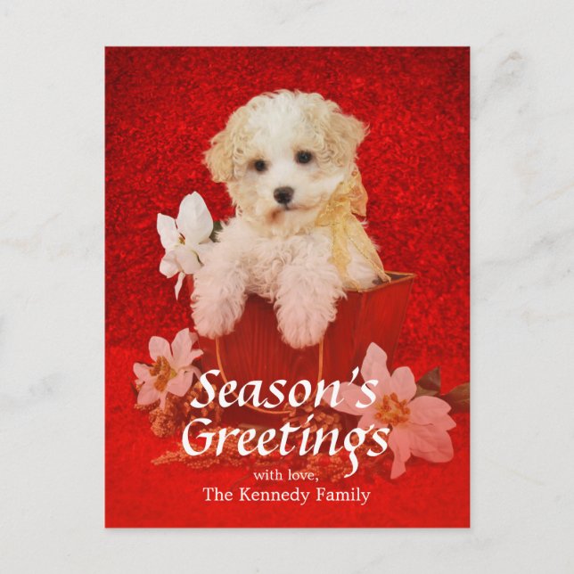 Cartão Postal De Festividades Sweet little Christmas puppy sitting in basket (Frente)