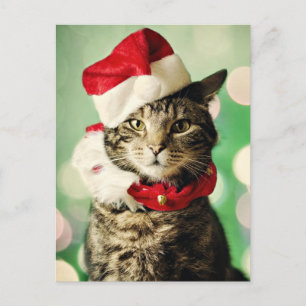 Cartão Postal De Festividades Tabby cat wearing a Christmas hat and collar
