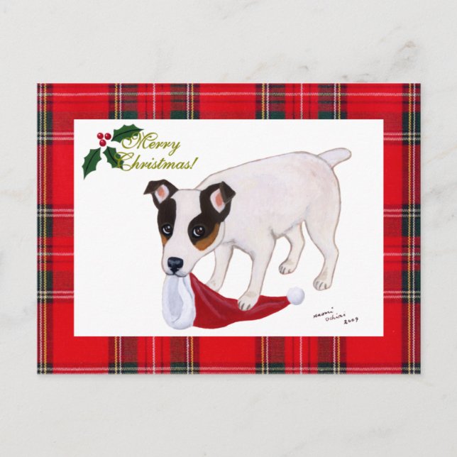 Cartão Postal De Festividades Tartan do Natal de Jack Russell Terrier (Frente)