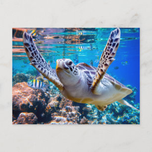 Cartão Postal De Festividades Tartaruga do Mar Verde Nadando sobre recife de cor
