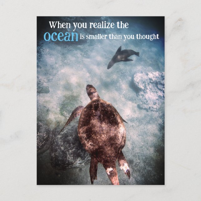 Cartão Postal De Festividades Tartaruga marinha e leão-marinho submarino (Frente)