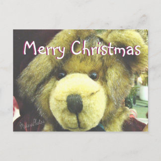 Cartão Postal De Festividades Teddybear MC-personalize