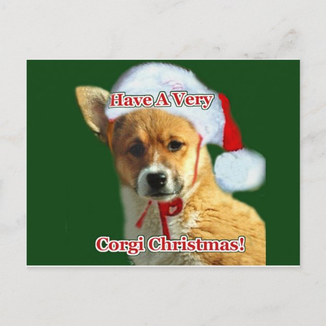 Cartão Postal De Festividades Tenha um Compaixão de Natal muito Corgi (Frente)