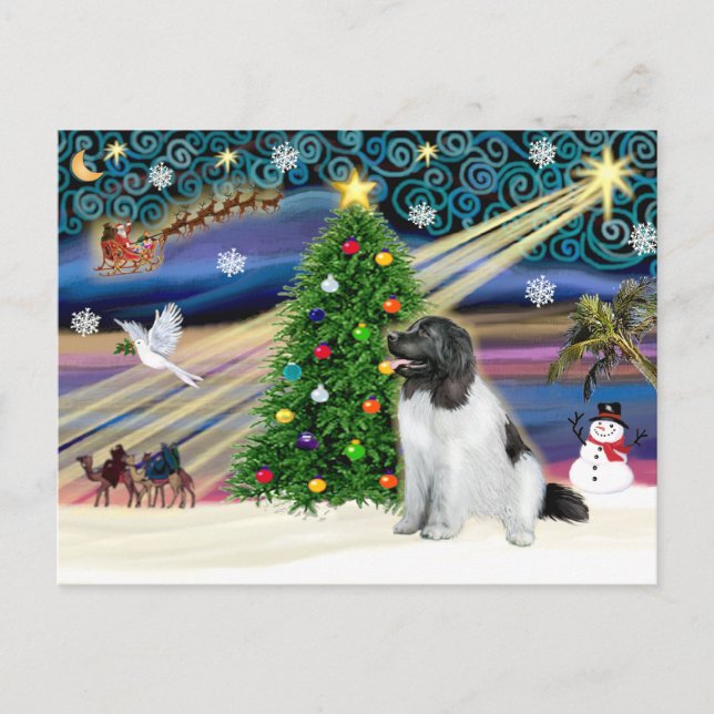 Cartão Postal De Festividades Terra Nova da Mágica de Natal (Landseer) (Frente)