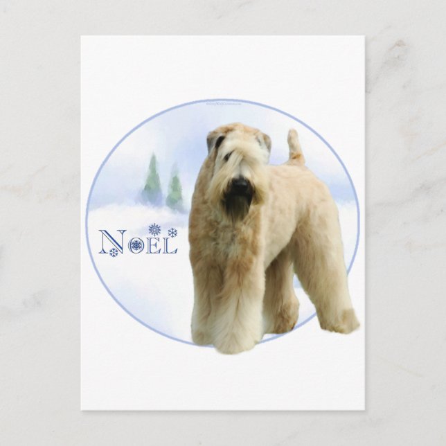 Cartão Postal De Festividades Terrier Wheaten brandamente revestido Noel (Frente)