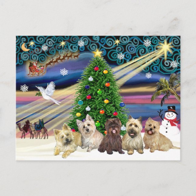 Cartão Postal De Festividades Terriers de Cairn Mágico de Natal (Cinco) (Frente)