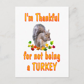 Cartão Postal De Festividades Thankful Squirrel