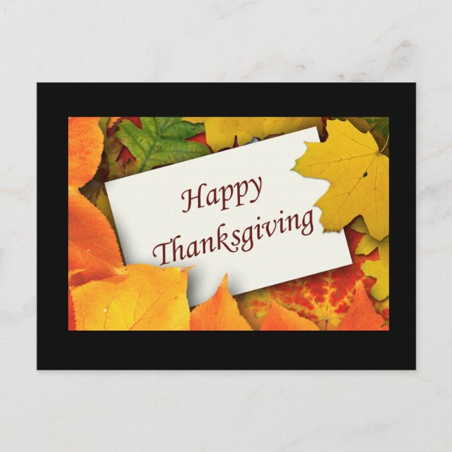 Cartão Postal De Festividades Thanksgiving Blessings Postcards (Frente)