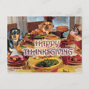 Cartão Postal De Festividades Thanksgiving Dachshunds