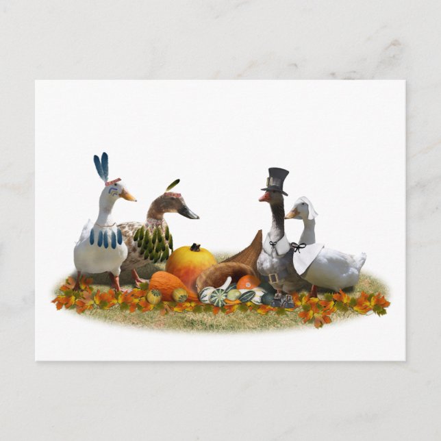 Cartão Postal De Festividades Thanksgiving Ducks - Pilgrims & Indians (Frente)