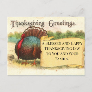 Cartão Postal De Festividades Thanksgiving Greetings Turkey Holiday Postcard