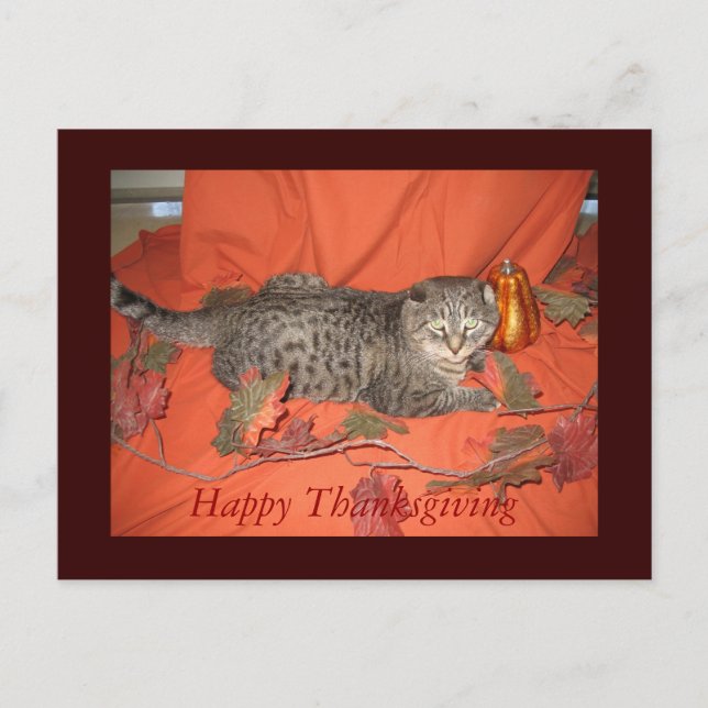 Cartão Postal De Festividades Thanksgiving Postcard (Frente)